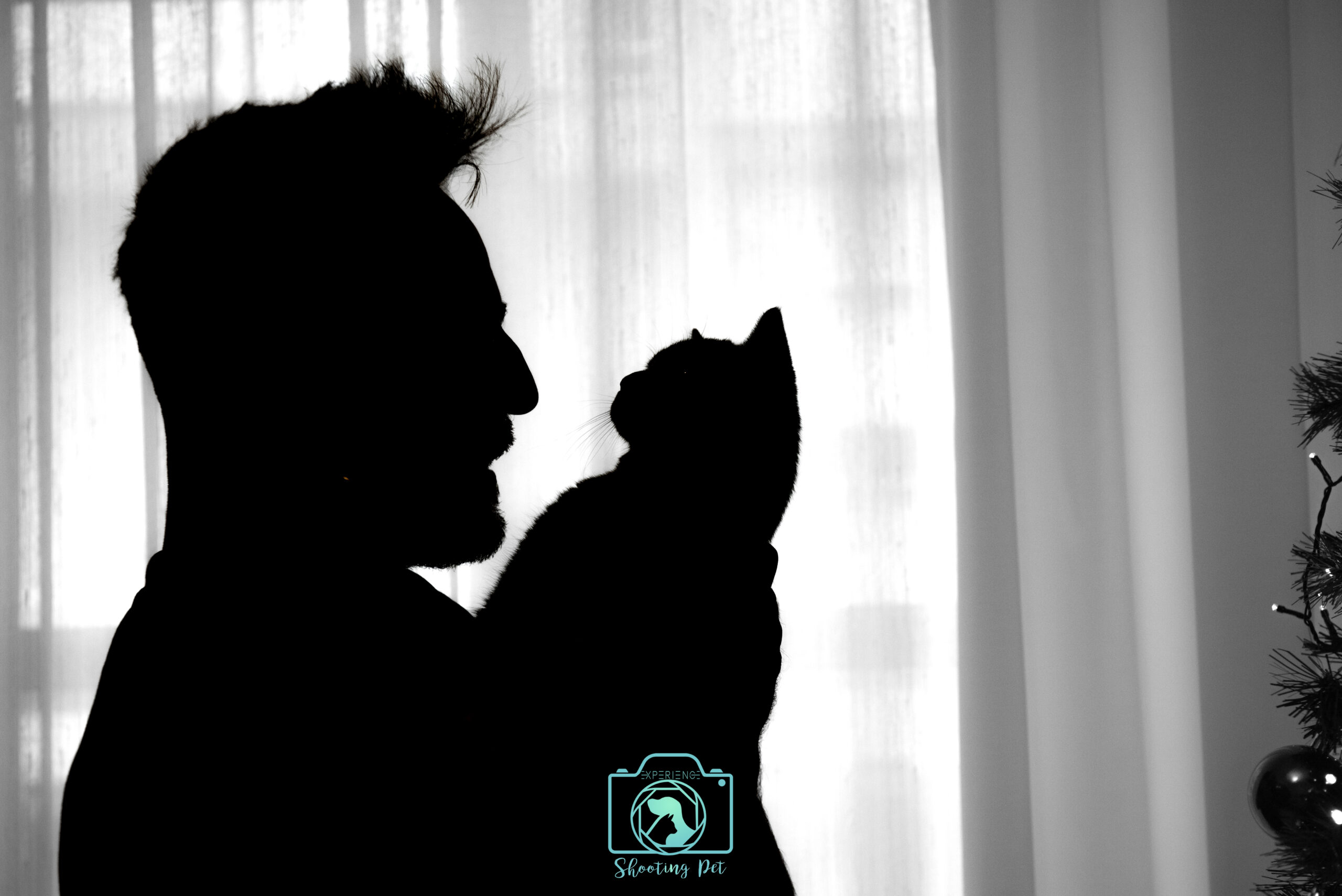 dodo e gatti (10 di 18)