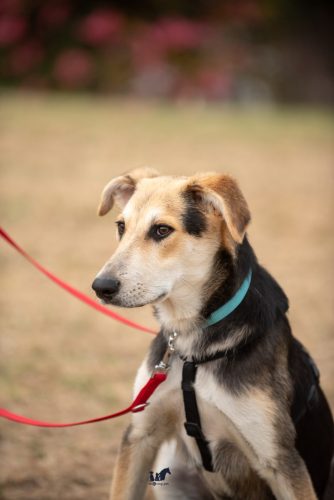 DSC 3135