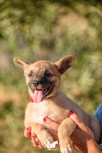 DSC 6853