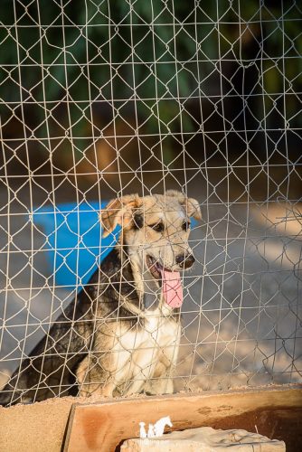 DSC 6879